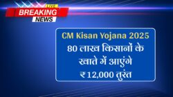 80 लाख किसानों के खाते में आएंगे ₹12,000, ऐसे करें तुरंत आवेदन CM Kisan Yojana 2025
