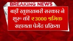 e Sharm Card Peyment Start: ए-श्रम कार्ड वालों ₹3000 मिलना शुरू।