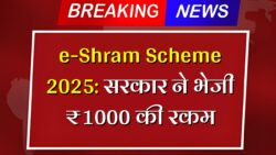 e-Shram Card Bhatta: ई-श्रम कार्ड 1000 रुपए की नई क़िस्त जारी