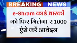 श्रमिकों को हर महीने मिलेंगे ₹1000, ई-श्रम कार्ड के नए रजिस्ट्रशन शुरू e-Shram Card Registration Start