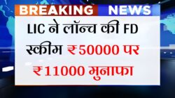 LIC FD Scheme : LIC ने लॉन्च किया 3 सबसे ज्यादा रिटर्न देने वाला नया स्कीम, ₹50,000 निवेश पर मिलेगा ₹11,000 का जबरदस्त मुनाफा