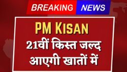 PM Kisan 21वीं किस्त न्यूज़ — दिवाली से पहले किसानों के खातों में ₹2000 सीधे ट्रांसफर होंगे, अभी देखें अपनी लिस्ट में नाम